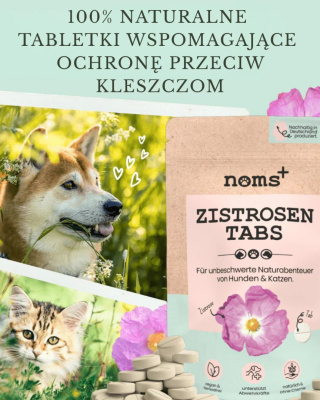 Tabletki Wspomagające Ochornę Przeciw Kleszczom 150g