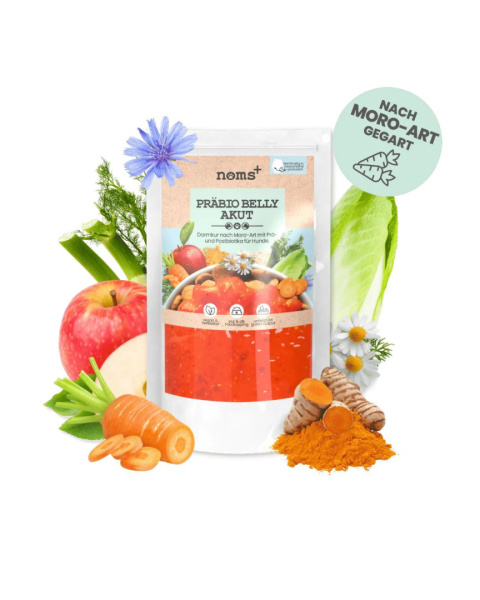 Zupka Moro na Kłopoty Brzuszkowe 200g Zupka Moro na Kłopoty Brzuszkowe 200g